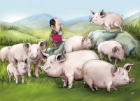 /album/fotogaleria-calendario-2019-gipuzkoa/euskal-txerri-jpg/